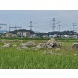 2025년 07월 자체 소음…